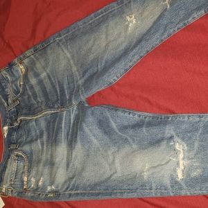 Citizens of Humanity Dree Crop